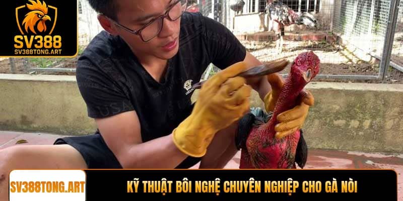 Kỹ thuật bôi nghệ chuyên nghiệp cho gà nòi