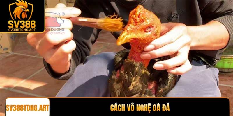 Cách vô nghệ gà đá an toàn giúp chiến kê săn chắc cơ bắp