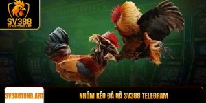 Cảnh Báo Lừa Đảo Từ Các Nhóm Kéo Đá Gà SV388 Telegram