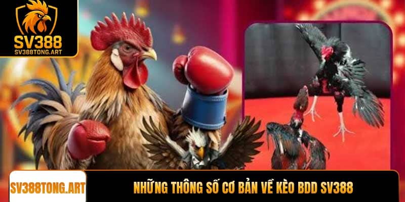 Những thông số cơ bản về Kèo BDD SV388