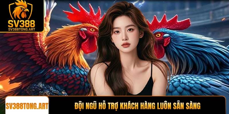 Đội ngũ hỗ trợ khách hàng luôn sẵn sàng