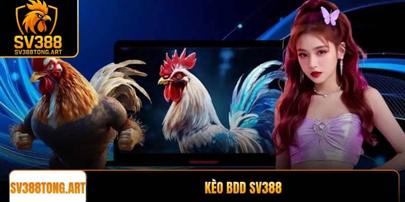 Kèo BDD SV388: Bí quyết đặt cược đá gà trực tuyến thắng lớn