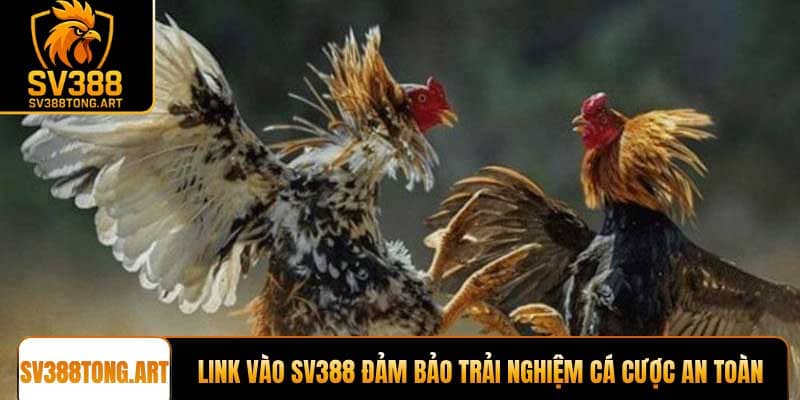 Link vào SV388 đảm bảo trải nghiệm cá cược an toàn