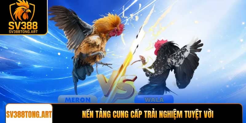 Nền tảng đá gà trực tiếp uy tín cung cấp trải nghiệm tuyệt vời