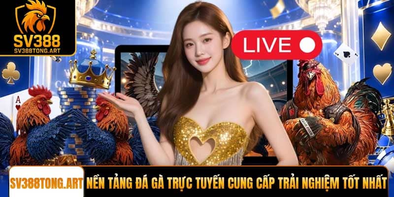 Nền tảng đá gà trực tuyến cung cấp trải nghiệm tốt nhất