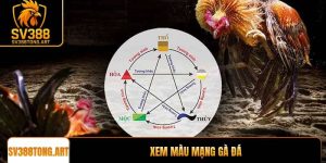 Xem màu mạng gà đá tại SV388 giúp hội viên thắng lớn